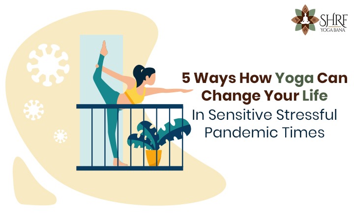 5 Ways How Yoga Can Change Your Life In Sensitive Stressful Pandemic Times