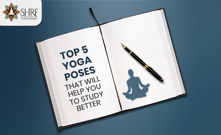Top 5 Yoga Poses That Will Help You To Study Better