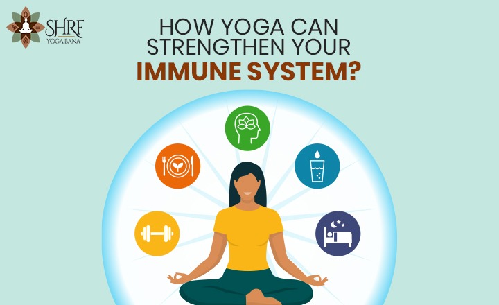 How can yoga strengthen your immune system?